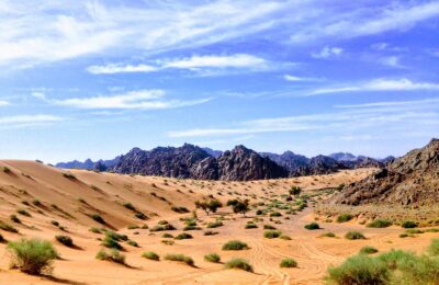 sand dune and mountain scenery