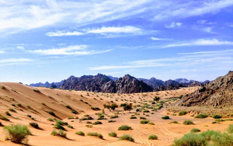 sand dune and mountain scenery